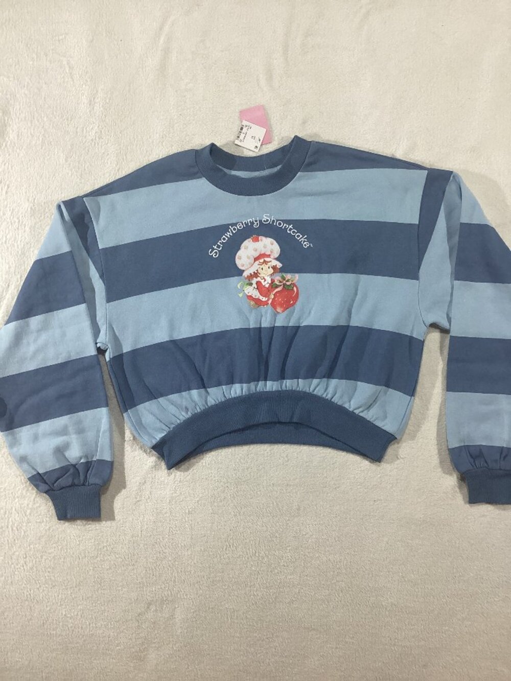 Strawberry Shortcake Blue Striped Cropped Sweatshirt XS NWT